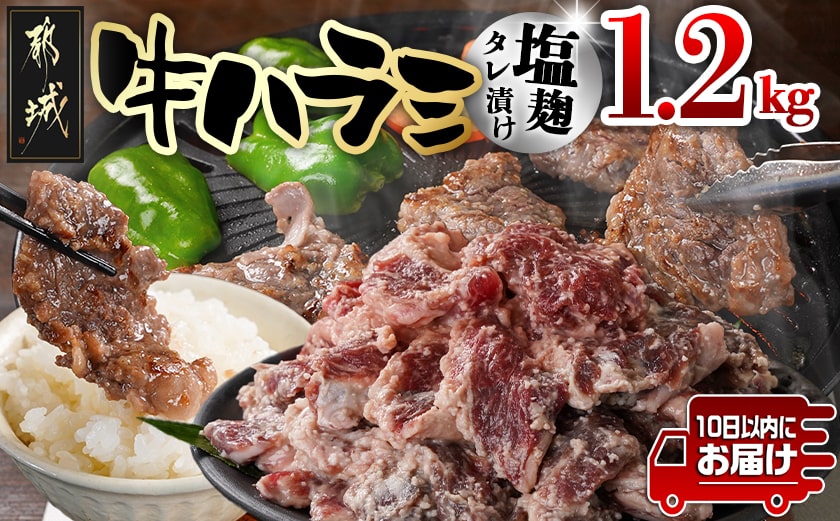 牛ハラミ 塩麹タレ漬け1.2kg≪みやこんじょ特急便≫_12-3310-Q_[肉 牛肉 焼き肉 焼肉 人気 おすすめ]