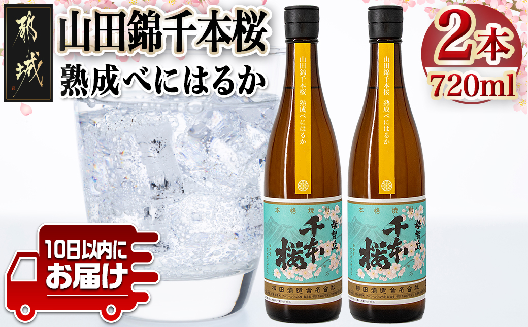 [柳田酒造]山田錦千本桜 熟成べにはるか(25度)720ml×2本 ≪みやこんじょ特急便≫