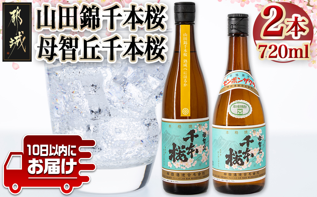 [柳田酒造]山田錦千本桜・母智丘千本桜(25度)720ml×2本 ≪みやこんじょ特急便≫