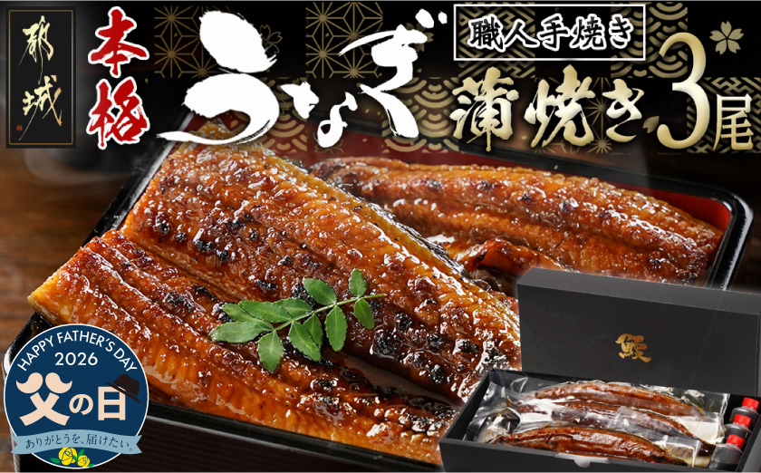 [父の日]職人手焼きの本格うなぎ蒲焼き3尾≪6月18日〜21日お届け≫_AC-33-003-3-FG