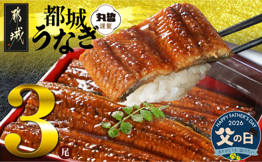 [父の日]宮崎県育ちのうなぎ蒲焼3尾500g以上≪山椒・たれ付≫≪6月18日〜21日お届け≫
