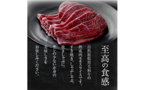 八崎牛の熟成モモスライス約250g N0105-YA838