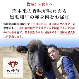 八崎牛のハンバーグ120g×5個 N0105-YZA4408