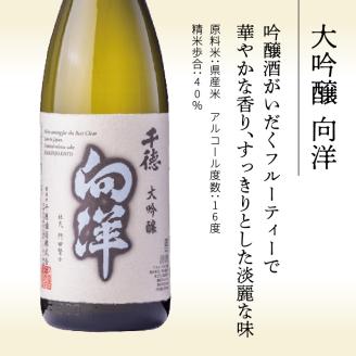 大吟醸向洋1800ml N041-YC128