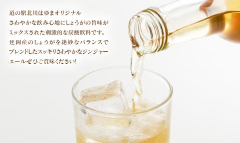 【のべおか道の駅】のべおかジンジャーエール24本 N009-YZB219