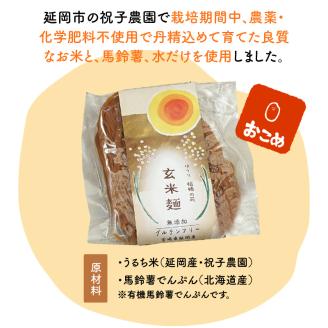 【グルテンフリー】無添加玄米麺計100g×6袋 N0107-YA058