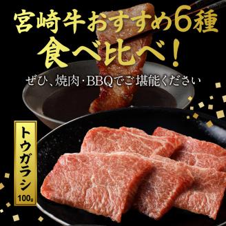 宮崎牛 焼肉食べ比べ6種盛600g N0140-YB446