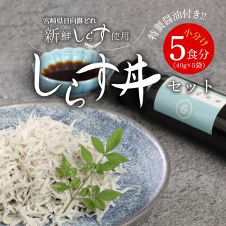 しらす丼セット(40g×5袋)特製醤油付き N065-YA0221