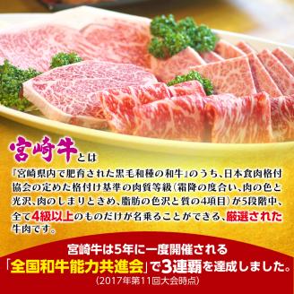 宮崎牛焼肉800g N061-YC807