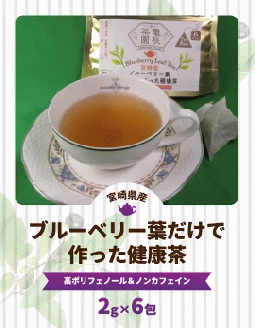 宮崎県産 ブルーベリー葉 だけで作った 健康茶 ポリフェノール　N048-YZA095
