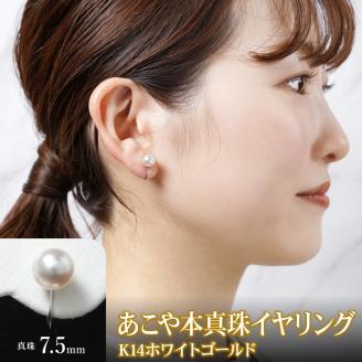あこや本真珠ｲﾔﾘﾝｸﾞ14Kﾎﾜｲﾄゴールド N0119-YZG0105
