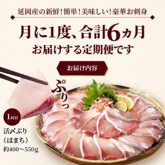 【お楽しみ定期便】延岡産活〆鮮魚の豪華お刺身（6ヶ月定期便） N019-YF073