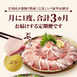 定期便定番シリーズ活〆鮮魚のお刺身(3ヶ月お届け) N019-YD0198