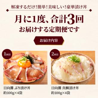 お魚の漬け丼バラエティ3回定期便 N019-YC712