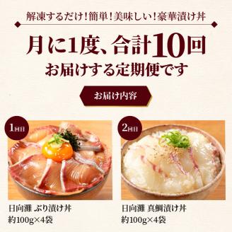 お魚の漬け丼バラエティ10回定期便 N019-YG0190