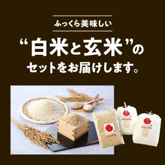 宮崎ヒノヒカリ延岡産白米と白い玄米セット合計10.8㎏ N0149-YD0233