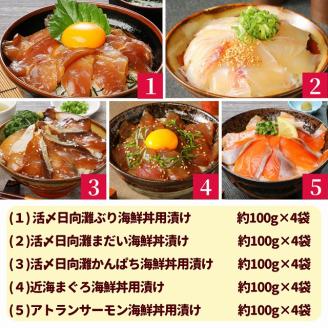 お魚の漬け丼バラエティ5回定期便 N019-YE097