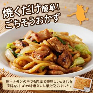 【宮崎産】豚直腸(ホルモン)タレ漬け500g(3～5人前)N061-YA0456