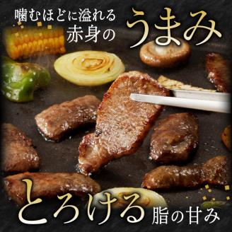 宮崎牛焼肉450g(A5等級) N061-YA672