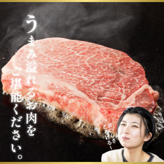 ヒレ・サーロインステーキセット各200g×3枚 N023-YZF004