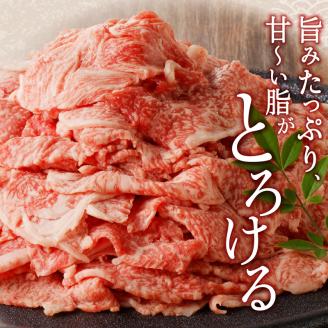 宮崎牛小間切れ900g(450g×2ﾊﾟｯｸ) N061-YB334