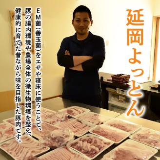 延岡よっとん Dセット N003-YB127