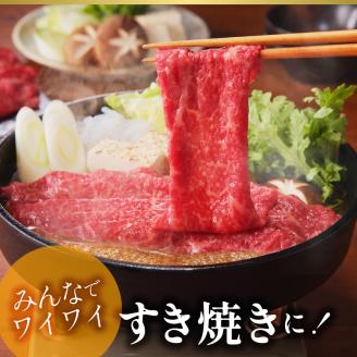 宮崎牛モモ・バラスライス N023-YZA303