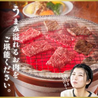 宮崎牛焼肉セット N023-YZB101