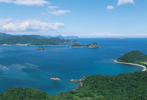 延岡市島浦島育ちの厳選鮮魚セット N015-YZC002