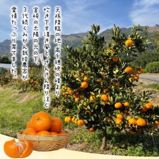 青島みかん 10kg N0132-YB351