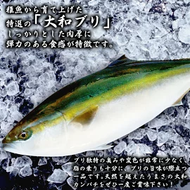 【大和ブリ】半身(ﾌｨﾚ)約1.0kg×1枚ｽｷﾝﾚｽﾛｲﾝ仕様 N072-YB327_1
