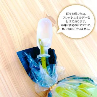 【田口ファミリーファーム】ぶどうミックス(瀬戸ジャイアンツ入り)4~8房(約3kg~4kg) N053-YZD0141