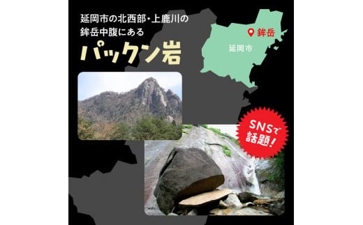 パックン岩トレッキング N002-YZC410