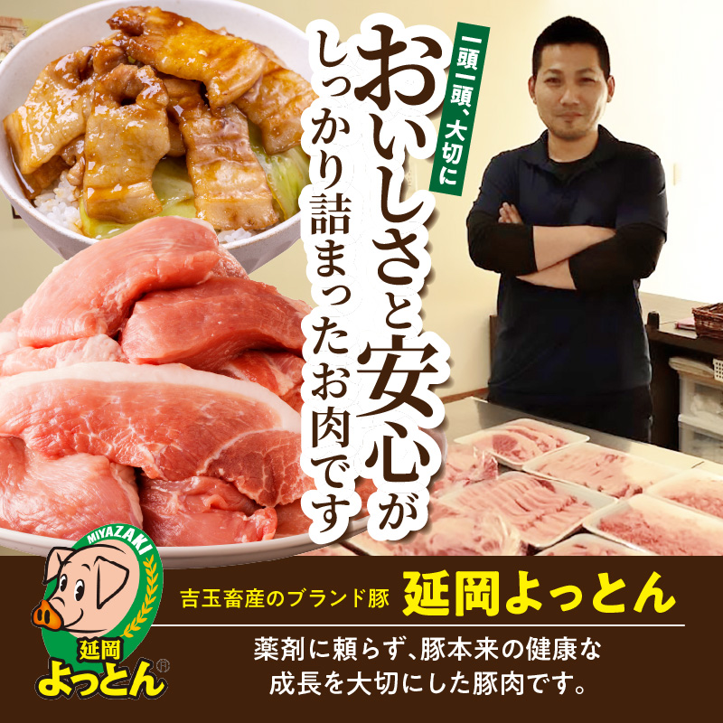 延岡よっとん バラブロック約1kg N003-YA968