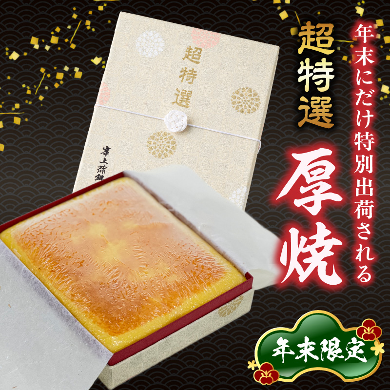 超特選厚焼 N006-YA769