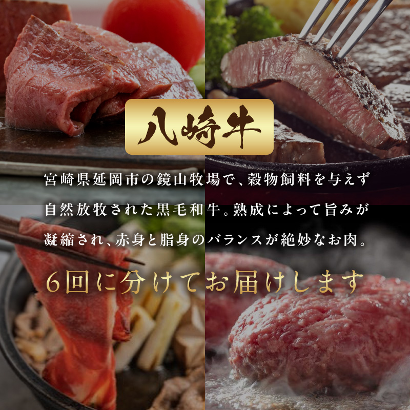 肉の彩り6ヶ月定期便 N0105-YF103