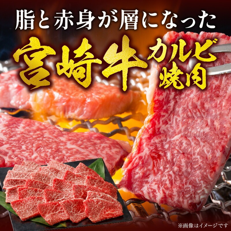 宮崎牛 カルビ焼肉400g N0140-YA3368