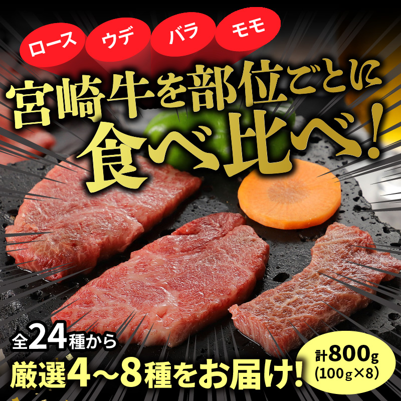 宮崎牛焼肉食べ比べ4種～8種盛り 合計800g　N0140-YC523