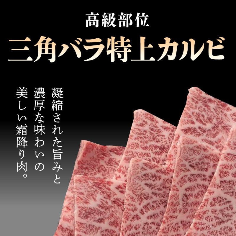 宮崎牛 特上カルビ焼肉用(三角バラ)600g N0140-YB629