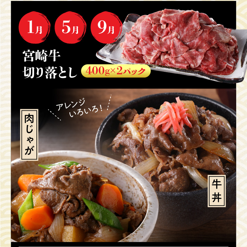 【定期便12回】宮崎牛 匠のよくばり堪能コース N0140-YI031