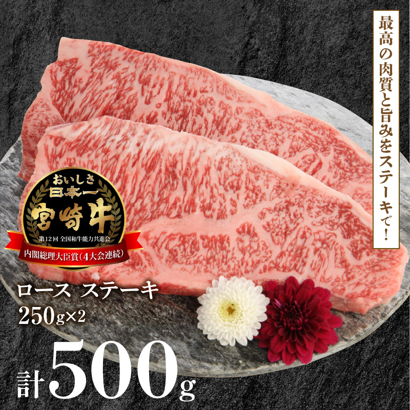宮崎牛ロースステーキ 250g×2 計500g N0147-YB827