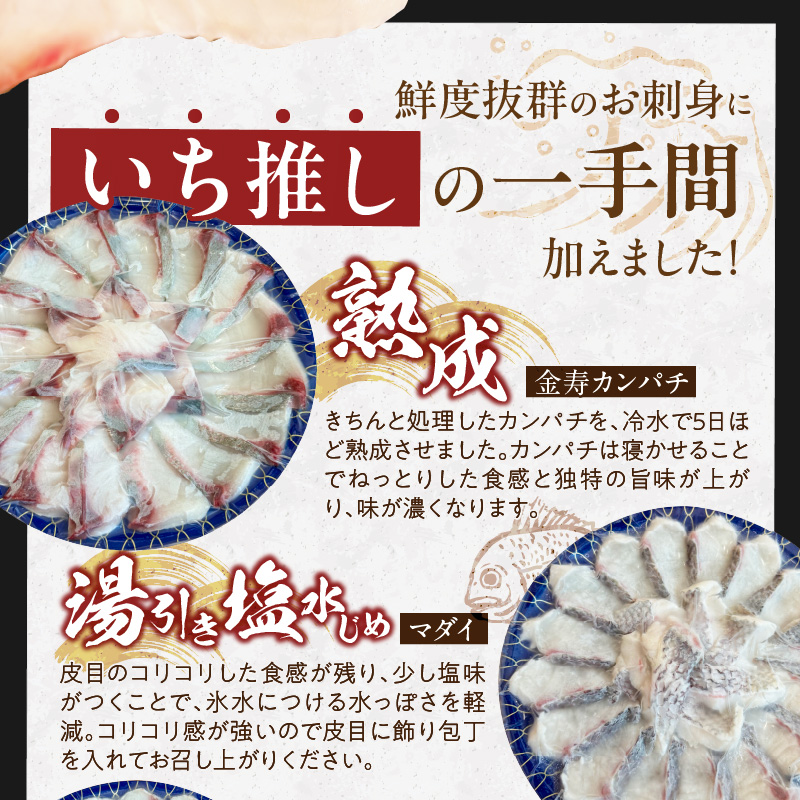 【3ヶ月定期便】(冷凍)解凍するだけで食卓へ！生産者が一手間加えた丸皿刺身 N015-YD0238