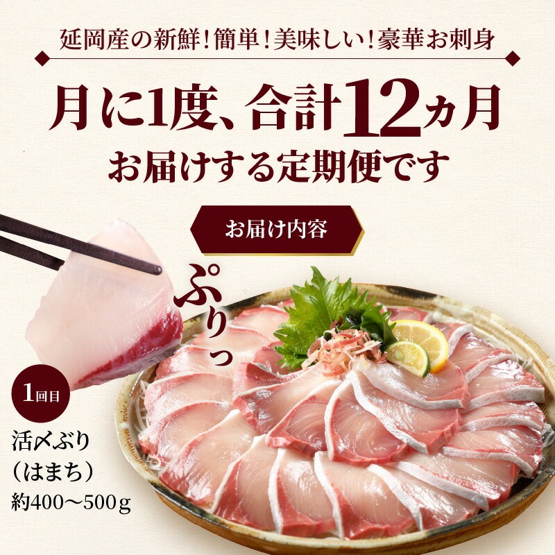【お楽しみ定期便】延岡産活〆鮮魚の豪華お刺身（12ヶ月定期便） N019-YYG0191