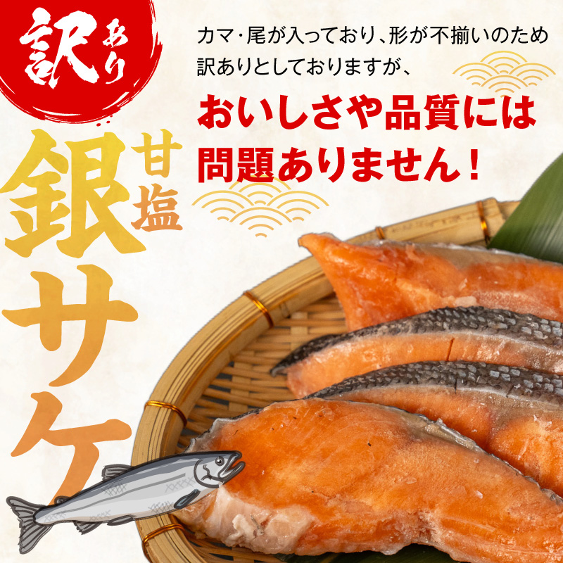 【訳あり】甘塩銀サケ昆布風味（500g×2）N0212-YA2272