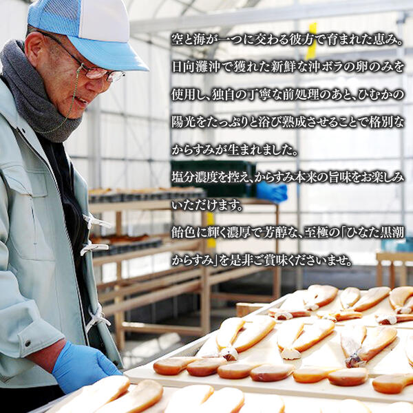 ひなた黒潮からすみ130g以上(両腹) N024-YZB228