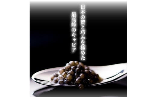 宮崎キャビア1983 (400g 桐箱入り) N027-YL003