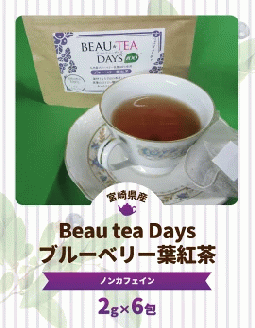 Beau tea Days ブルーベリー葉 紅茶　N048-YZA096