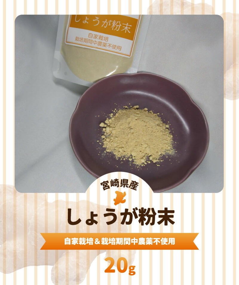 しょうが 粉末 N048-YA0494