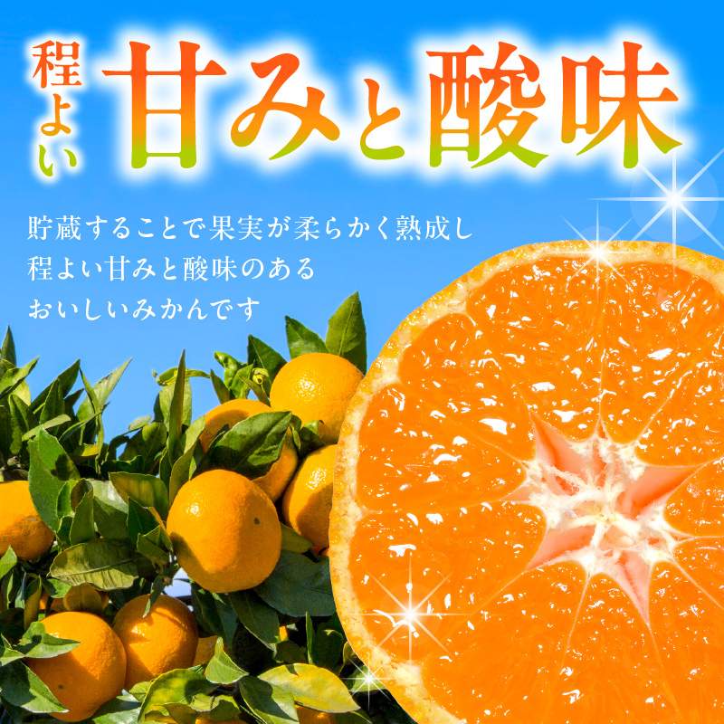青島みかん（5kg）12月下旬から発送 N050-YA2274