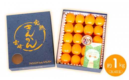 【田口ファミリーファーム】皮ごとぱくっと!完熟きんかん3L　40玉(約1kg)(2026年2月中旬発送開始) N053-YZA157